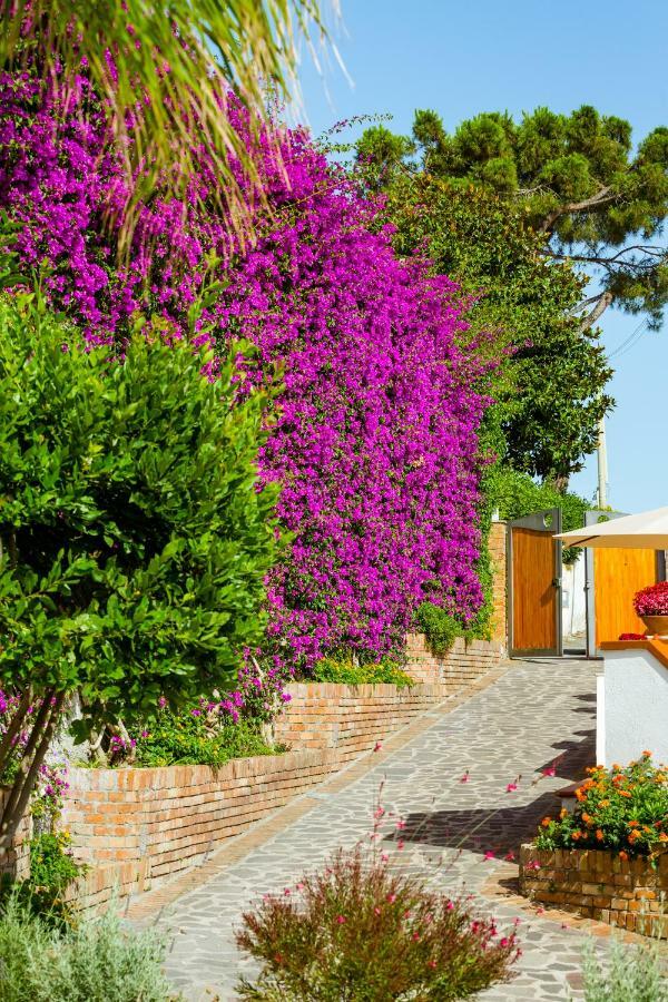 Villa Araucaria Casamicciola Terme Exterior foto